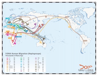 2010-ydna-migration-map.jpg