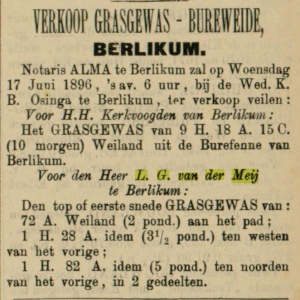 Leeuwarder courant, 12-06-1896